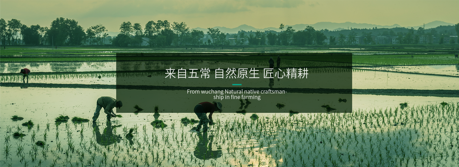 轮播图