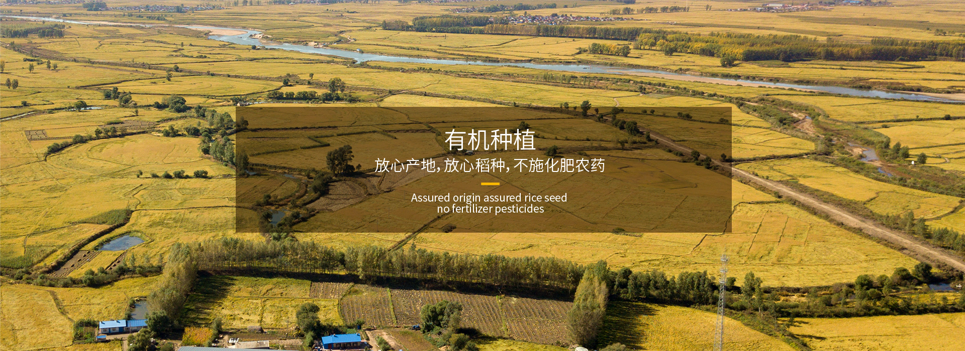 轮播图