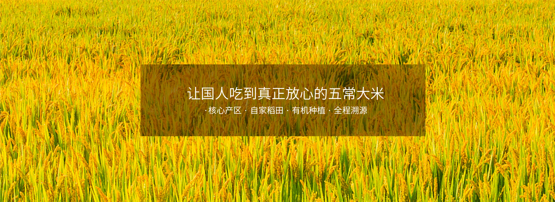 轮播图